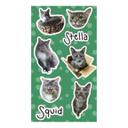 Custom Sticker Sheet