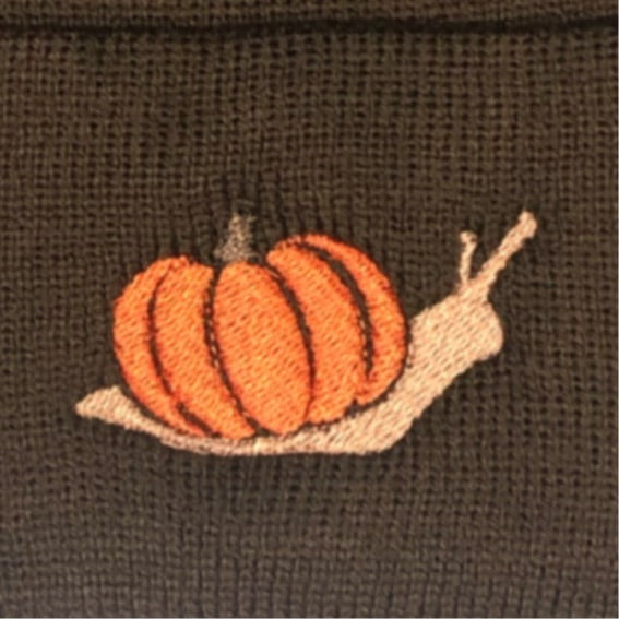 Pumpkin Snail
